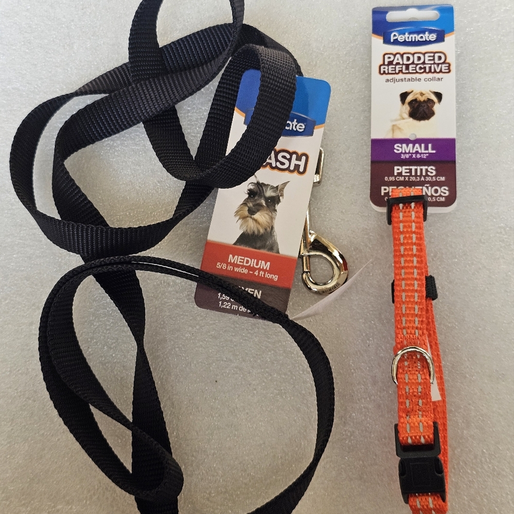 Dog Leash + Collar Set SMALL New